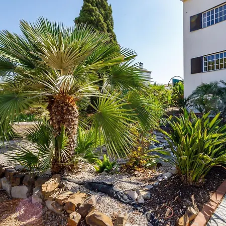 فيلة Sobral 49 *